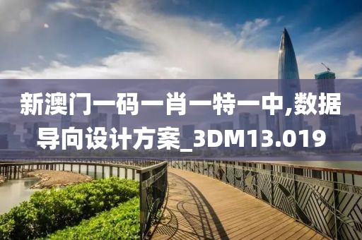 新澳门一码一肖一特一中,数据导向设计方案_3DM13.019