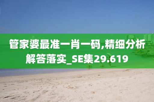 管家婆最准一肖一码,精细分析解答落实_SE集29.619