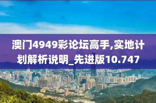 澳门4949彩论坛高手,实地计划解析说明_先进版10.747