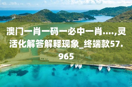 澳门一肖一码一必中一肖....,灵活化解答解释现象_终端款57.965