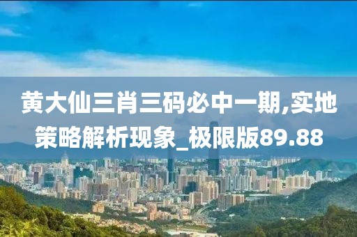 黄大仙三肖三码必中一期,实地策略解析现象_极限版89.88