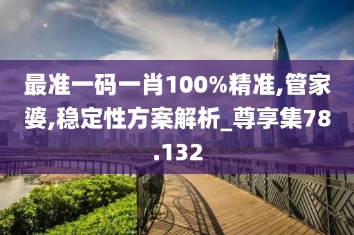 最准一码一肖100%精准,管家婆,稳定性方案解析_尊享集78.132