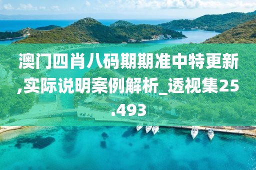 澳门四肖八码期期准中特更新,实际说明案例解析_透视集25.493