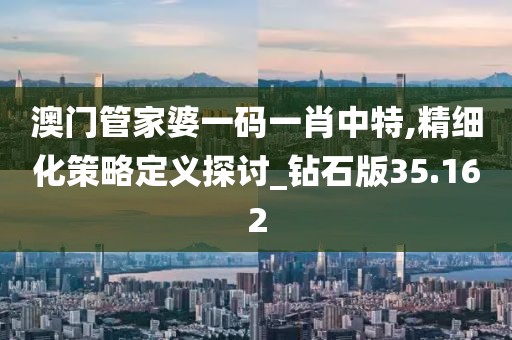 澳门管家婆一码一肖中特,精细化策略定义探讨_钻石版35.162