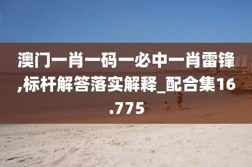 澳门一肖一码一必中一肖雷锋,标杆解答落实解释_配合集16.775