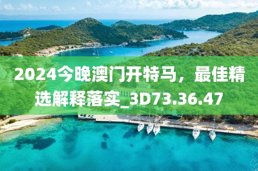 2024今晚澳门开特马，最佳精选解释落实_3D73.36.47