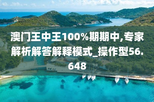 澳门王中王100%期期中,专家解析解答解释模式_操作型56.648