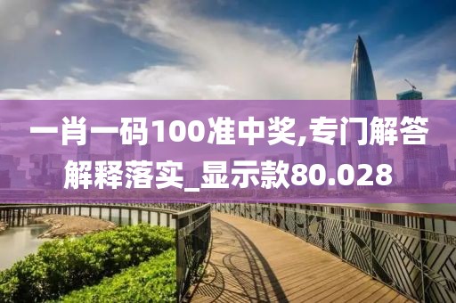 一肖一码100准中奖,专门解答解释落实_显示款80.028