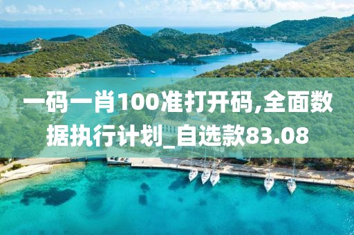 一码一肖100准打开码,全面数据执行计划_自选款83.08