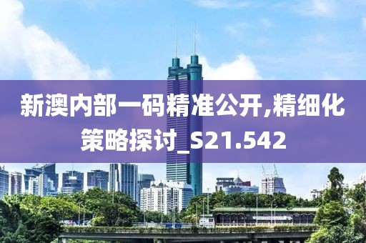 新澳内部一码精准公开,精细化策略探讨_S21.542