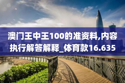 澳门王中王100的准资料,内容执行解答解释_体育款16.635