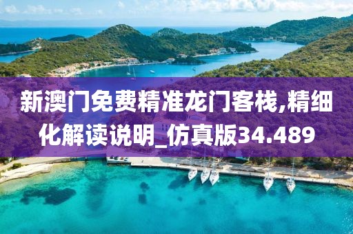 新澳门免费精准龙门客栈,精细化解读说明_仿真版34.489