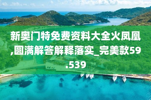 新奥门特免费资料大全火凤凰,圆满解答解释落实_完美款59.539