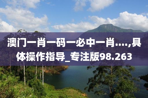 澳门一肖一码一必中一肖....,具体操作指导_专注版98.263
