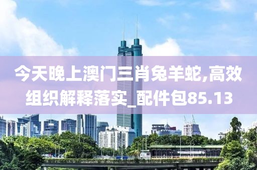 今天晚上澳门三肖兔羊蛇,高效组织解释落实_配件包85.13