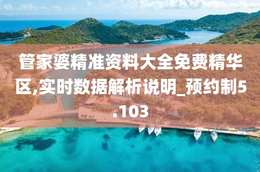管家婆精准资料大全免费精华区,实时数据解析说明_预约制5.103
