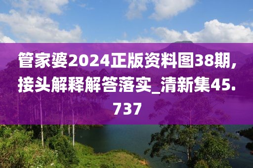 管家婆2024正版资料图38期,接头解释解答落实_清新集45.737
