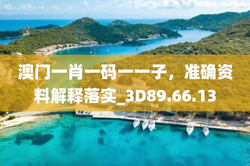 澳门一肖一码一一子，准确资料解释落实_3D89.66.13