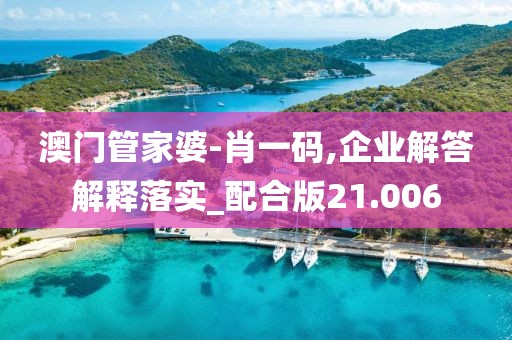 澳门管家婆-肖一码,企业解答解释落实_配合版21.006