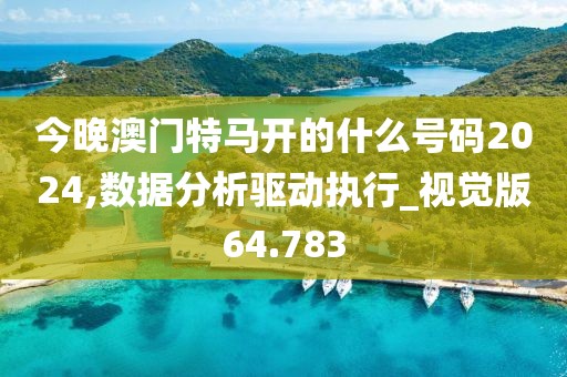 今晚澳门特马开的什么号码2024,数据分析驱动执行_视觉版64.783