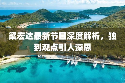 梁宏达最新节目深度解析，独到观点引人深思