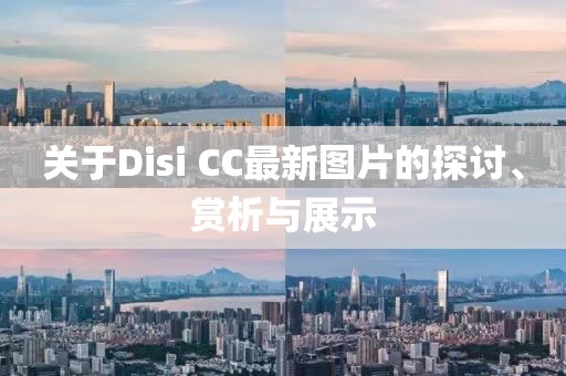 关于Disi CC最新图片的探讨、赏析与展示