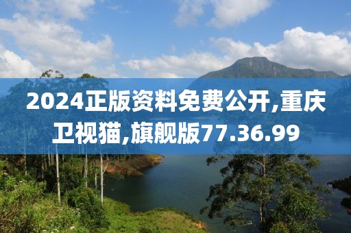 2024正版资料免费公开,重庆卫视猫,旗舰版77.36.99