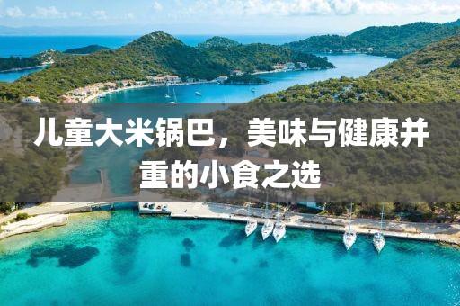 儿童大米锅巴，美味与健康并重的小食之选