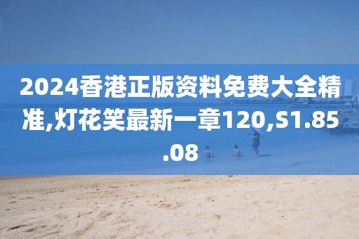 2024香港正版资料免费大全精准,灯花笑最新一章120,S1.85.08