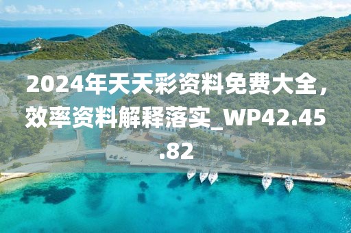 2024年天天彩资料免费大全，效率资料解释落实_WP42.45.82