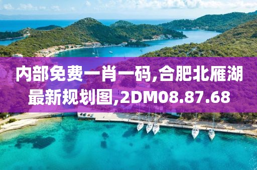 内部免费一肖一码,合肥北雁湖最新规划图,2DM08.87.68