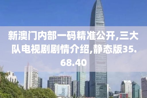 新澳门内部一码精准公开,三大队电视剧剧情介绍,静态版35.68.40