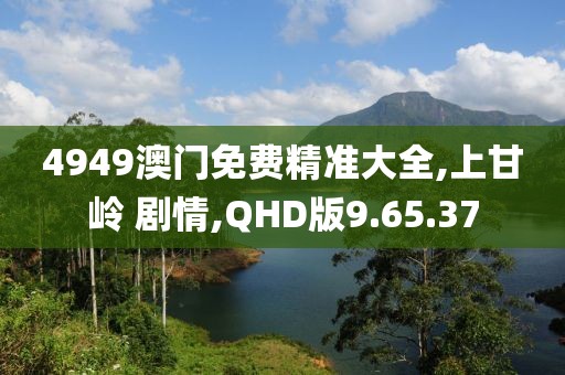 4949澳门免费精准大全,上甘岭 剧情,QHD版9.65.37