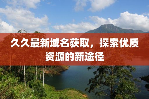 久久最新域名获取，探索优质资源的新途径