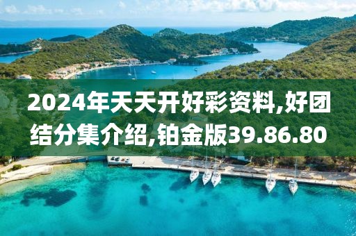 2024年天天开好彩资料,好团结分集介绍,铂金版39.86.80