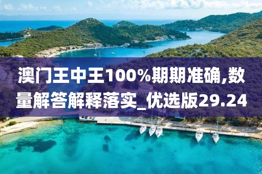 澳门王中王100%期期准确,数量解答解释落实_优选版29.24