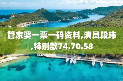 管家婆一票一码资料,演员段玮,特别款74.70.58