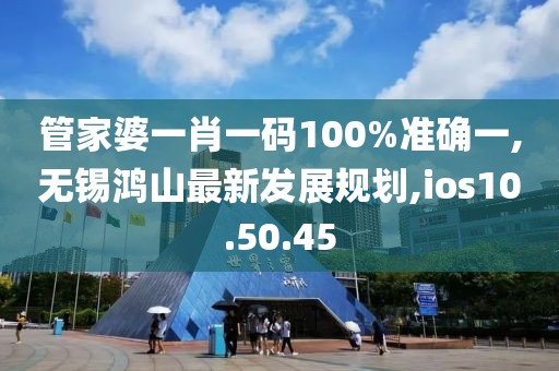 管家婆一肖一码100%准确一,无锡鸿山最新发展规划,ios10.50.45