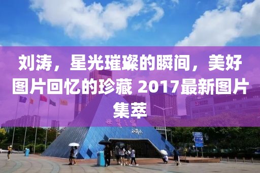 刘涛，星光璀璨的瞬间，美好图片回忆的珍藏 2017最新图片集萃