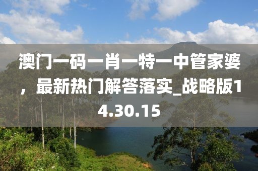 澳门一码一肖一特一中管家婆，最新热门解答落实_战略版14.30.15