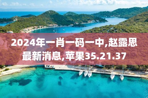 2024年一肖一码一中,赵露思最新消息,苹果35.21.37