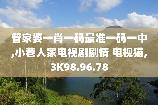 管家婆一肖一码最准一码一中,小巷人家电视剧剧情 电视猫,3K98.96.78