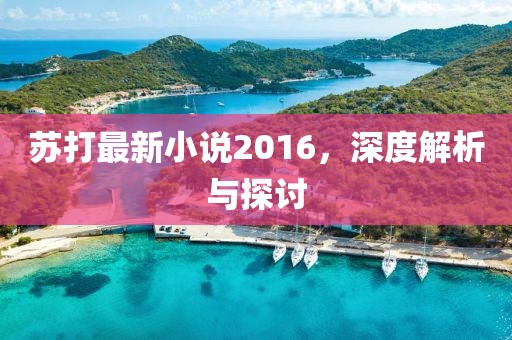 苏打最新小说2016，深度解析与探讨