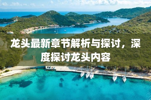 龙头最新章节解析与探讨，深度探讨龙头内容