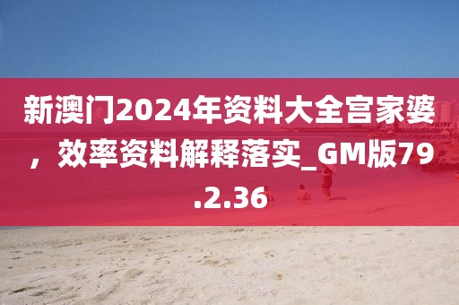 新澳门2024年资料大全宫家婆，效率资料解释落实_GM版79.2.36