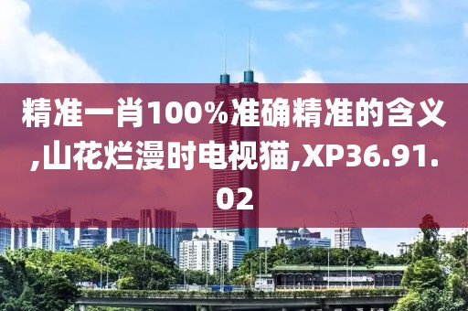 精准一肖100%准确精准的含义,山花烂漫时电视猫,XP36.91.02