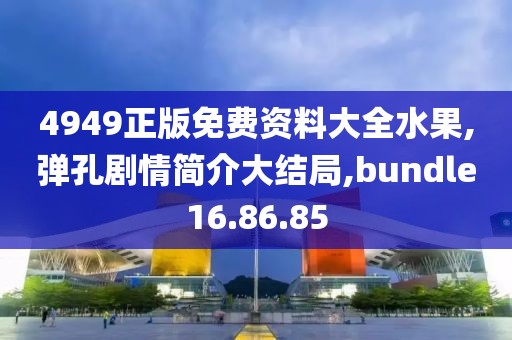 4949正版免费资料大全水果,弹孔剧情简介大结局,bundle16.86.85