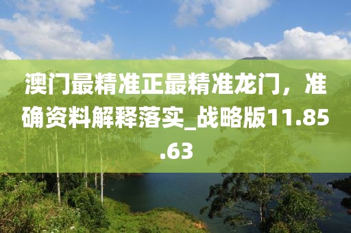 澳门最精准正最精准龙门，准确资料解释落实_战略版11.85.63