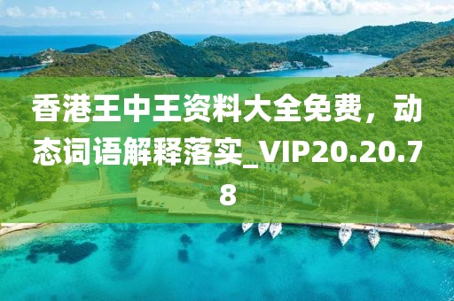 香港王中王资料大全免费，动态词语解释落实_VIP20.20.78