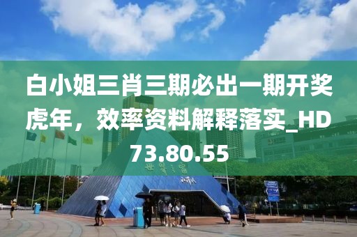 白小姐三肖三期必出一期开奖虎年，效率资料解释落实_HD73.80.55